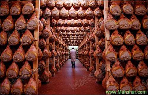 عکس یک کارخانه تولید ژامبون خوک در پارمای ایتالیا 