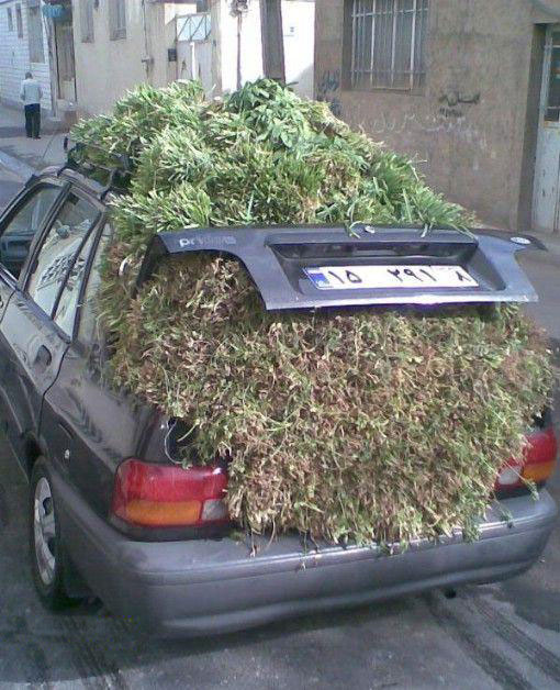 عکس : ماشین پراید یک سبزی فروش!