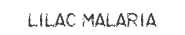Lilac malaria Font
