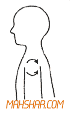 نرمشهای محل کار شانه هایتان را به آرامی و به حالت دایره ای 5 بار به طرف عقب بچرخانید<br />
شانه هایتان را به آرامی و به حالت دایره ای، 5 بار به طرف جلو بچرخانید