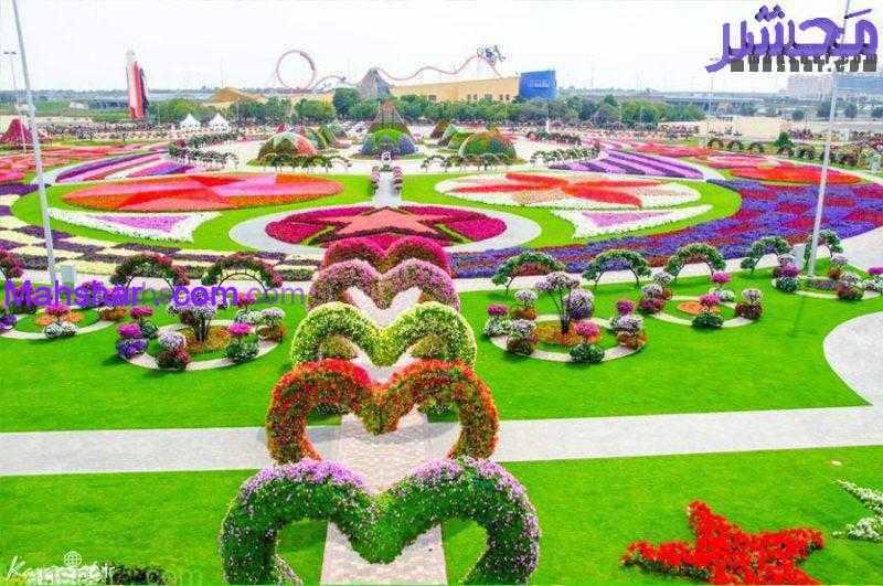 گل دبی12 59 باغ گل معجزه دبی | بزرگترین باغ گل دنیا