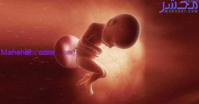 رشد جنین در هفتۀ سی و دوم