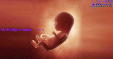 رشد جنین در هفتۀ پانزدهم