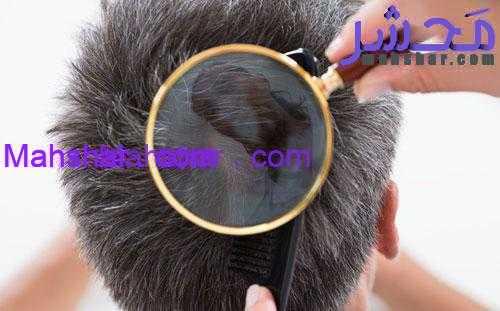 مو چیست 8 بهترین روش ترمیم مو چیست