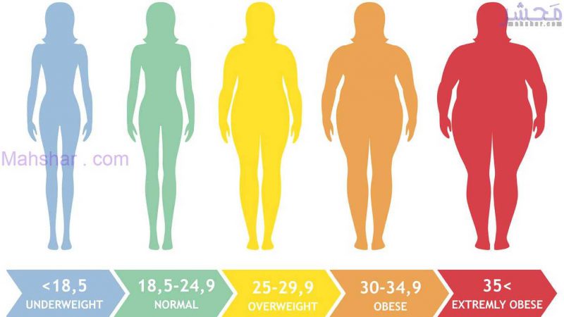 محاسبه شاخص توده بدنی BMI
