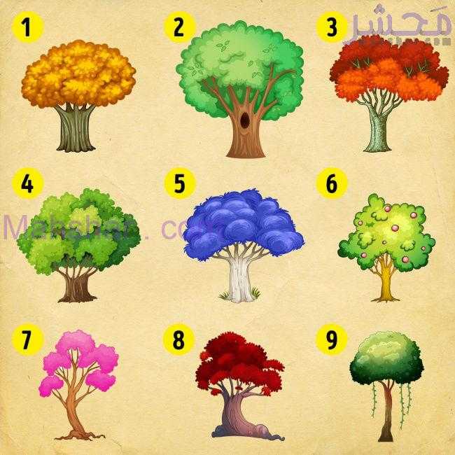 تست شخصیت شناسی: با انتخاب یک درخت شخصیت خود را بشناسید