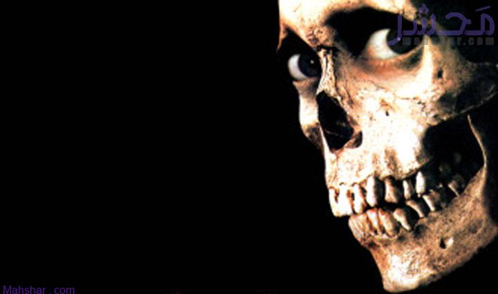 فیلم شیطان مرده‌ ۲ / Evil Dead 2