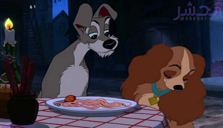 lady and the tramp 2 فیلم بانو و ولگرد / Lady and the Tramp