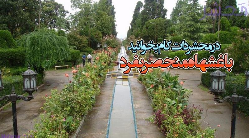 باغی برای ملت و عمارتی برای شاهان؛ جاذبه ای بی نظیر در ایران!
