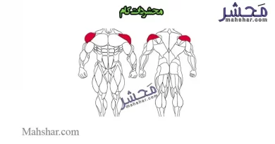 حرکات بدنسازی عضلات شانه